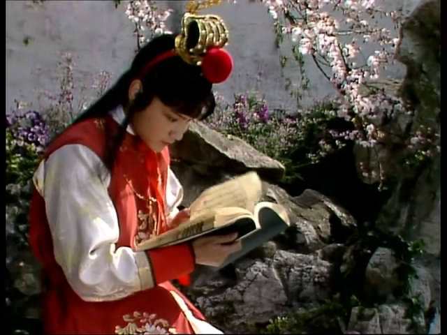 贾宝玉年少时的愚读音探析