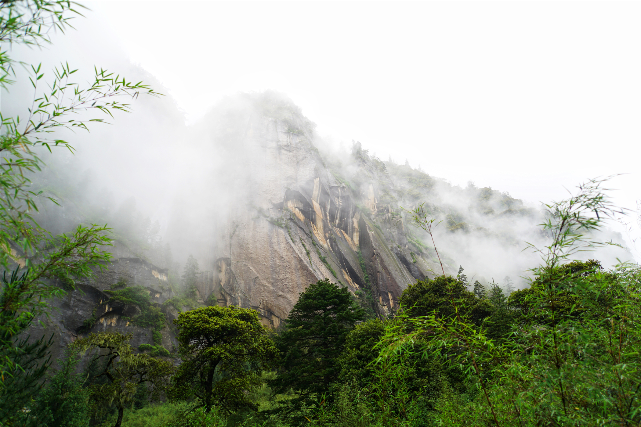 沿着潺潺的水声蜿蜒上行,竹林飒飒,绿意蔓延,云雾缭绕的山脉若隐若现