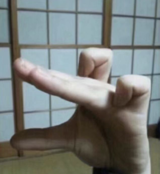 高难度手势，你要是全能做出来，你一定是超人