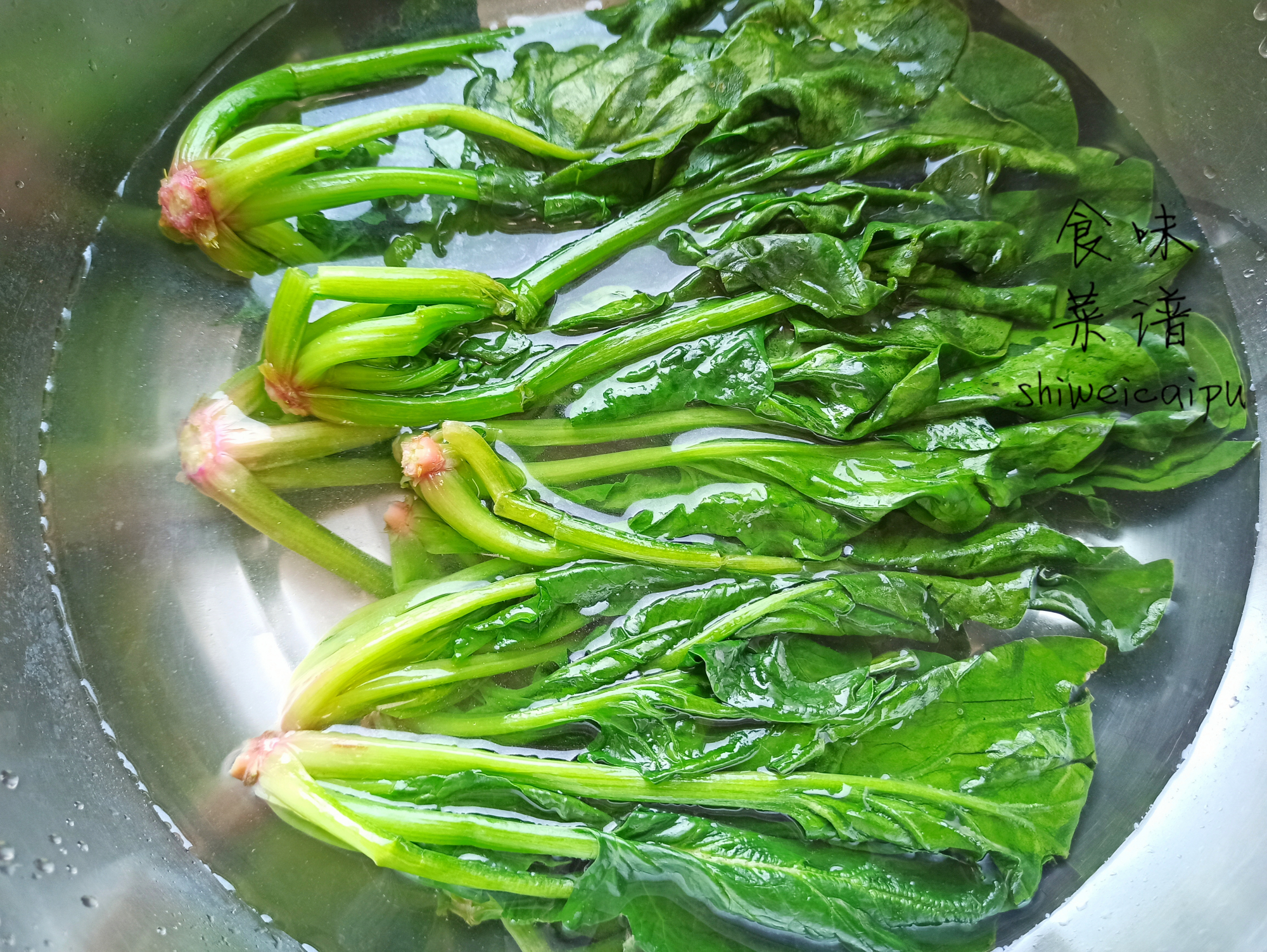 肉包子馅的最佳配方（最好吃的6种包子馅料调法）