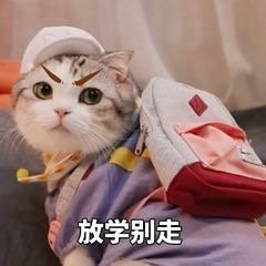 猫咪表情包合集｜老子可爱吗？