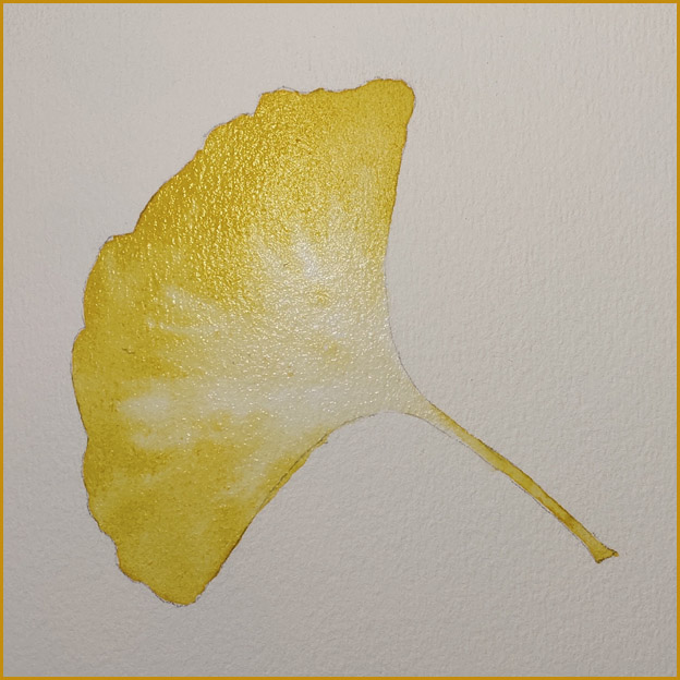 银杏叶简笔画(原创水彩入门教程-秋天的银杏叶)