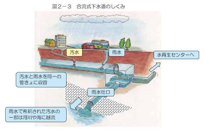 “粪水”中游泳？东京奥运会铁人三项比赛，赛后多位选手呕吐不止