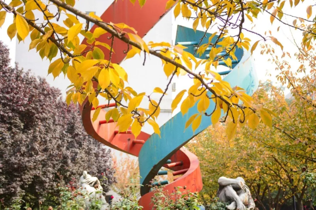 高考加油！西安交通大学2020年普通本科招生章程公布