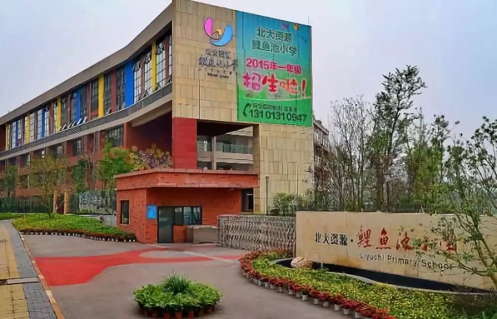 一年学费20万，在重庆上个小学也太贵了吧！看完数据你就知道了