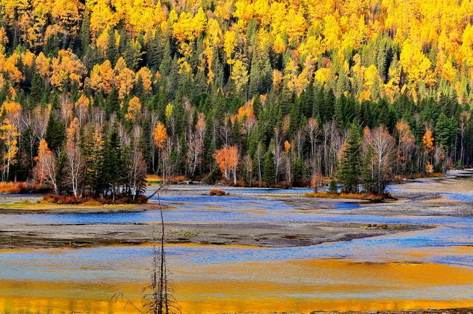 先秦诸子百家中，这个人文采最好，他的这些名句让人智慧飙升