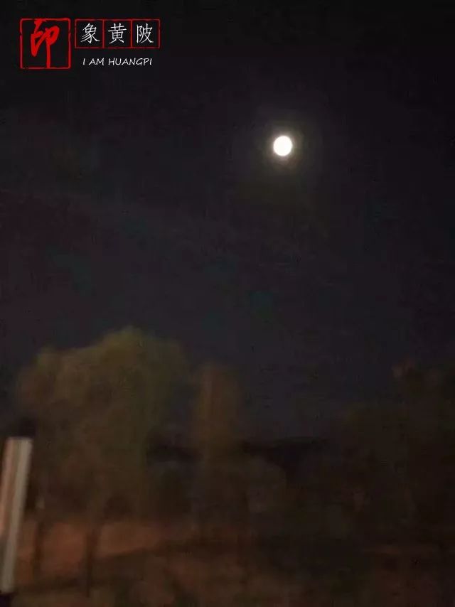 今夜月明人尽望，不知秋思落谁家