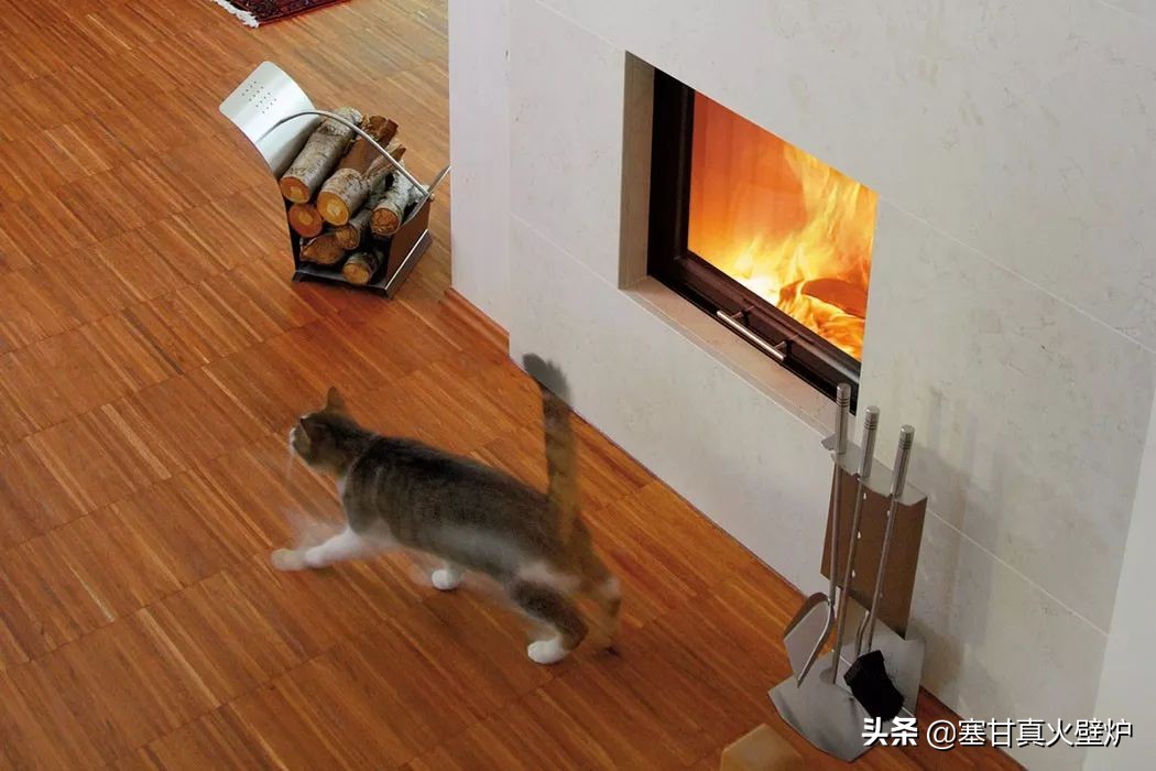 千万别被忽悠！燃木真火壁炉真的有这么好吗？