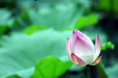 暨南大学2016-2018年高考录取分数统计