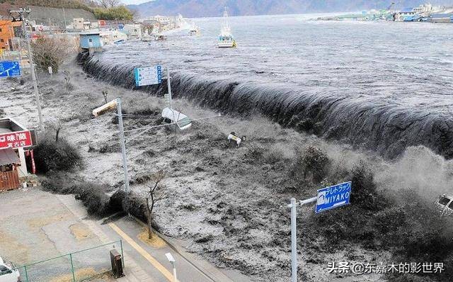 日本梦境预言家，能通过睡觉预测未来，是否可信？