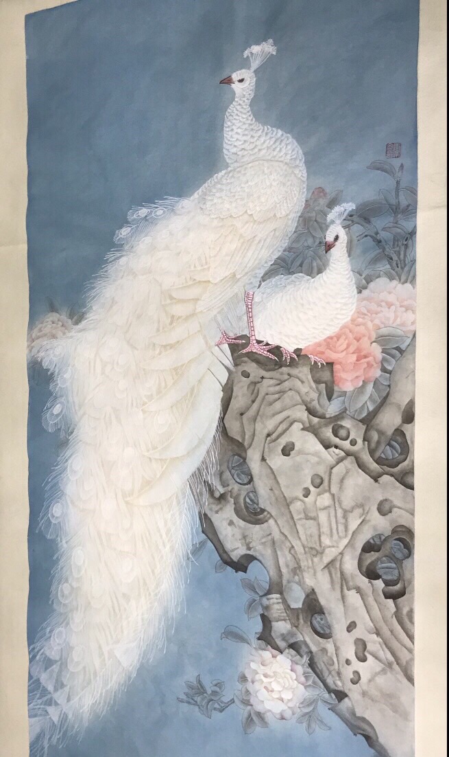 孔雀东南飞！高贵、冷艳的白孔雀