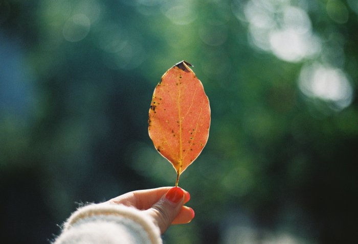 名篇欣赏之普希金诗三首：假如生活欺骗了你