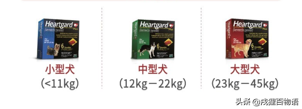 8种市面常见犬类驱虫药，对抗10多种狗狗寄生虫，驱虫效果大盘点