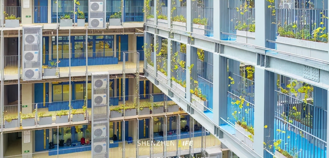 国内，英式国际学校TOP5！猜一猜，中国版“牛剑收割机”，是哪所