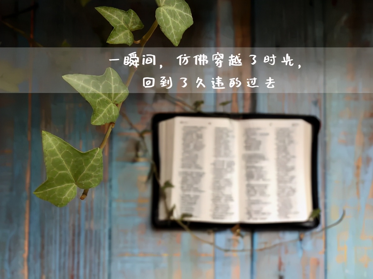 回想往事的句子伤感(分享10条回想起往事的说说 )_力贝号