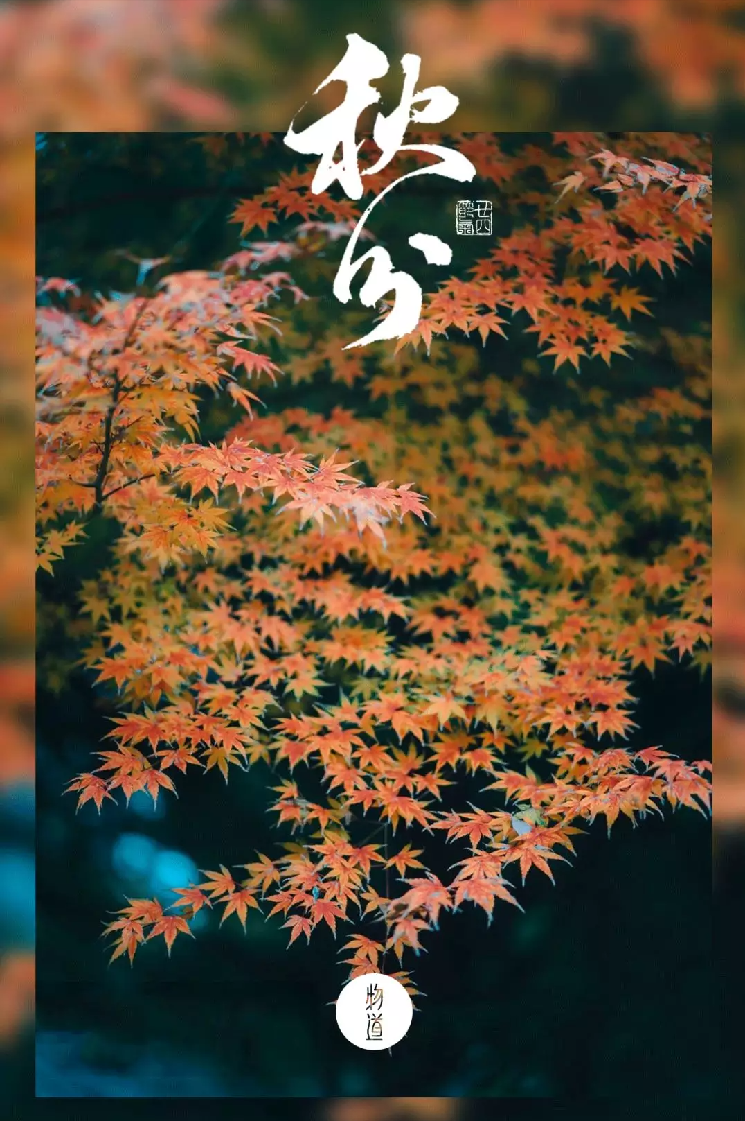 意乐瓷砖：匠心品质，筑就一线之选，开启您的家居新体验！