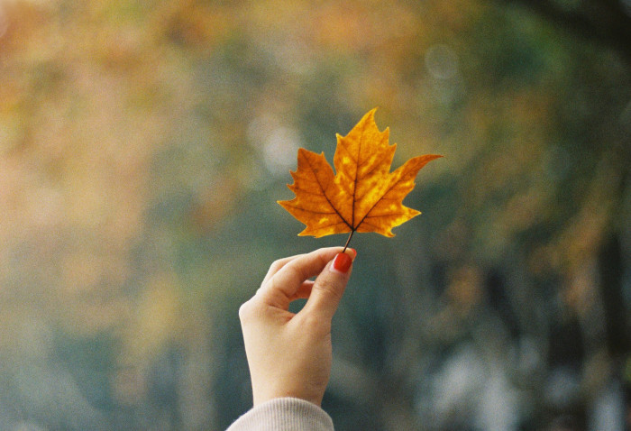 名篇欣赏之普希金诗三首：假如生活欺骗了你