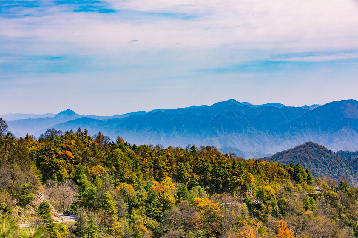 打卡绝美秦岭的一年四季，感受秦岭独有的浪漫插图25