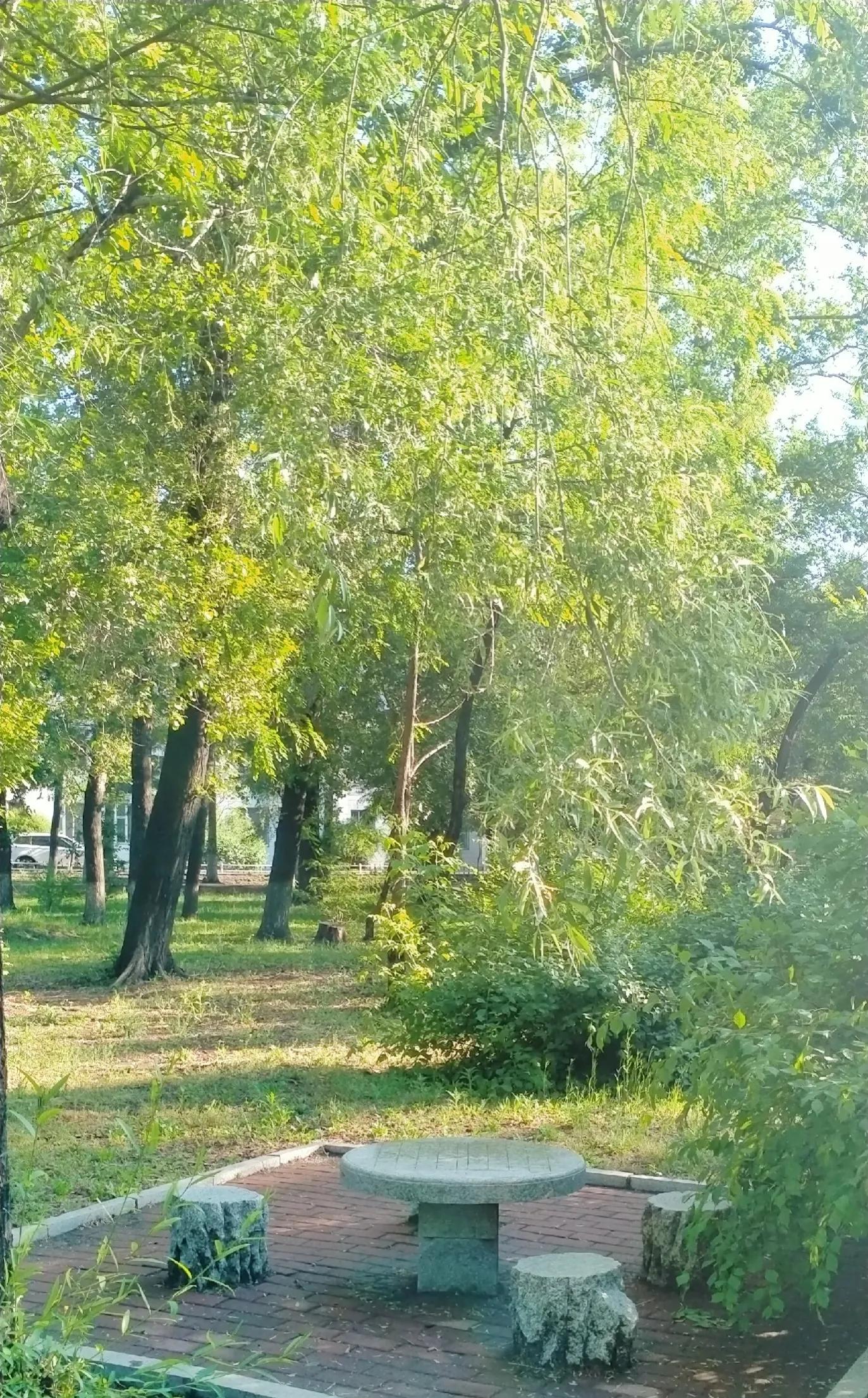 长春师范大学——竟然这么美