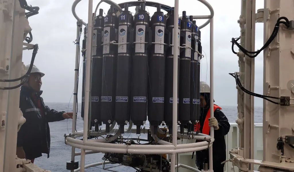 “我们跑赢了台风”