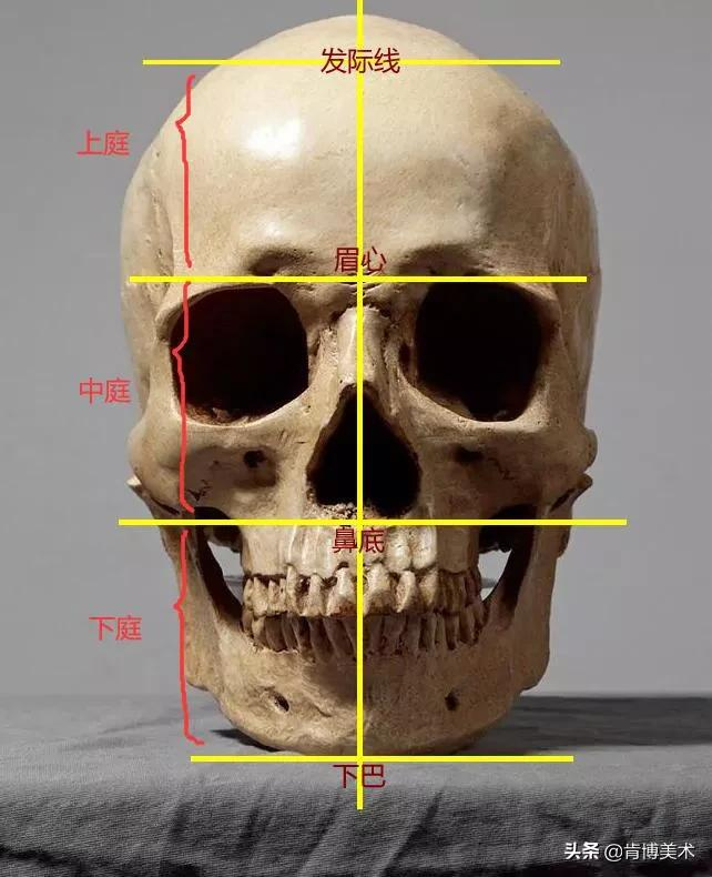 画人像大杀招,想学画画的你不容错过