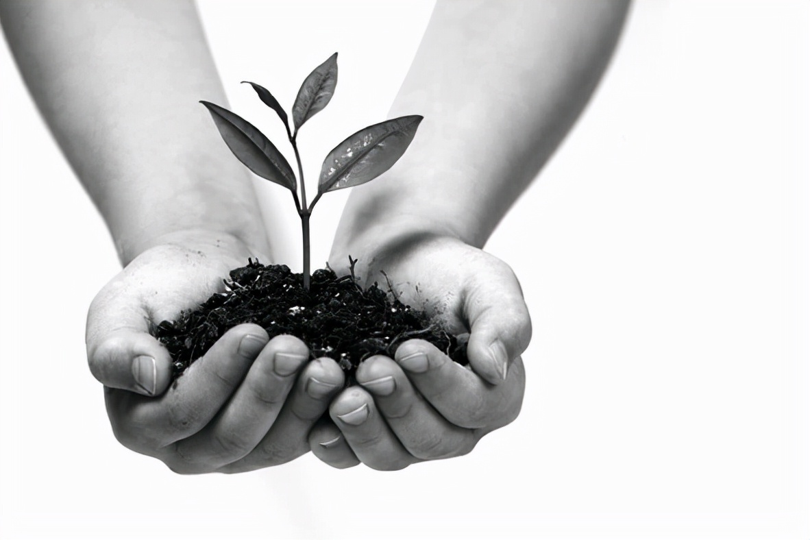 你家孩子寄宿吗——寄宿制利弊谈