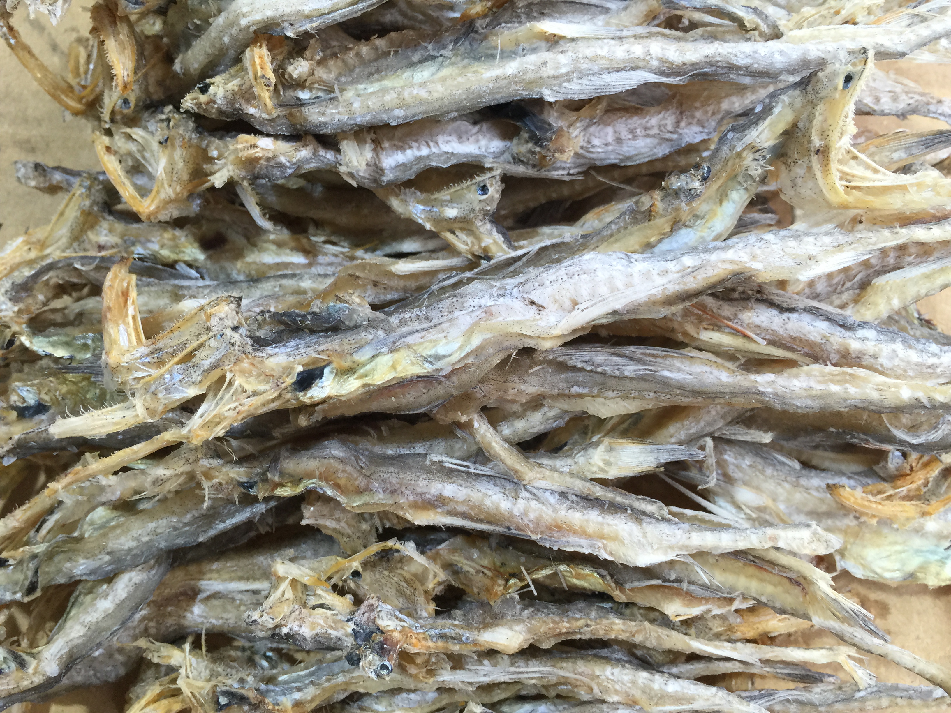 开海了,细说大家耳熟能详的龙头鱼 - 信租财经