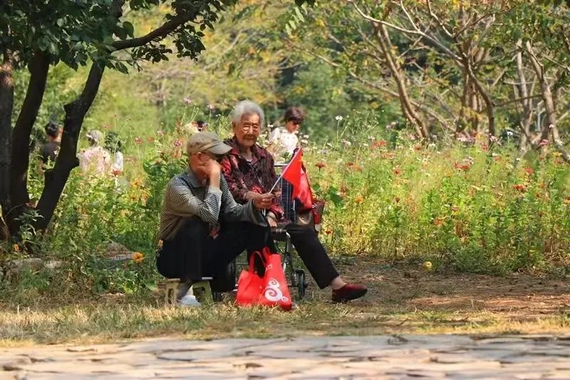 重阳节 | 老人游williamhill威廉希尔免门票，还有礼物拿哦