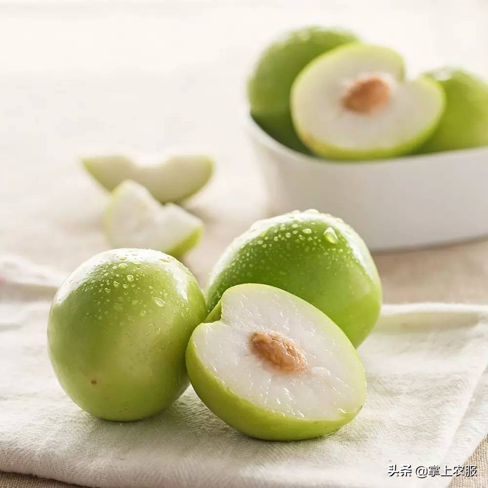 这种长得像苹果的枣，其实是青枣