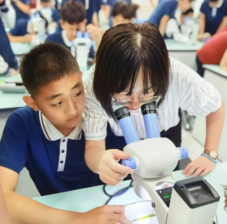 京郊这所学校，真真了不得