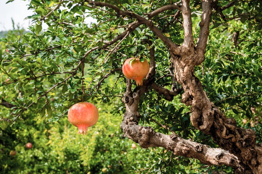今日秋分:清景难逢,一切都爽朗起来
