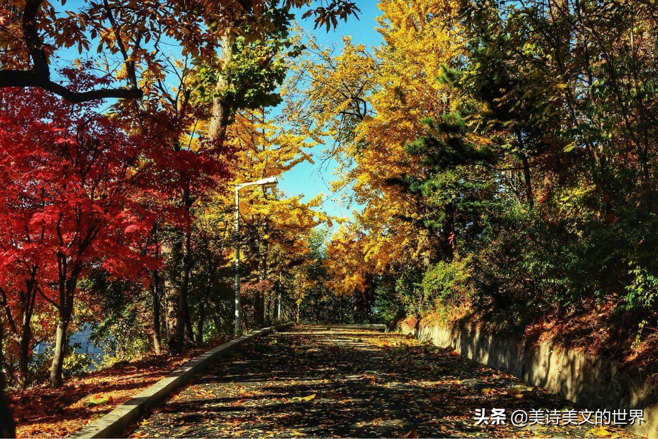 關於瞬間頓悟古風的美文 _晶羽文學網