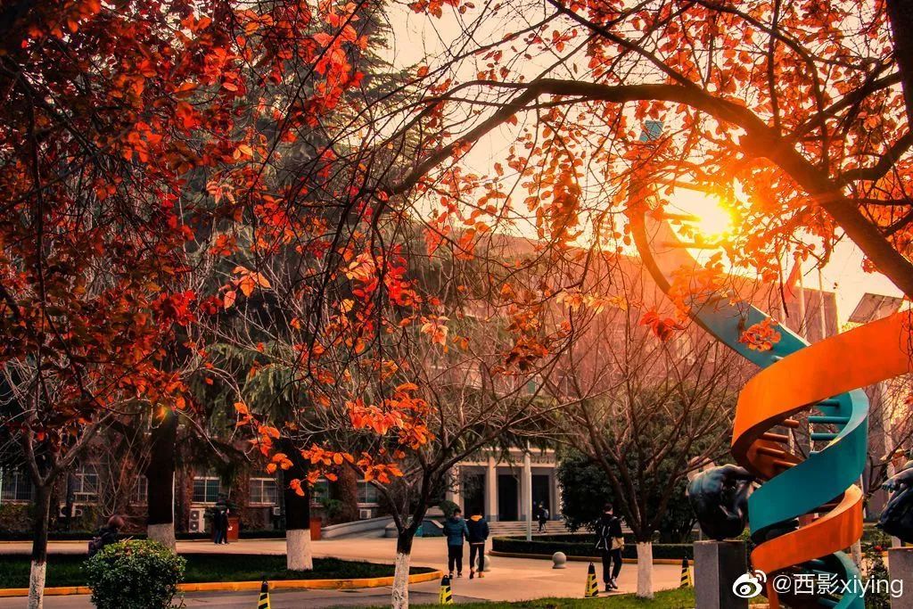 权威发布！西安交通大学2020年高水平艺术团招生简章