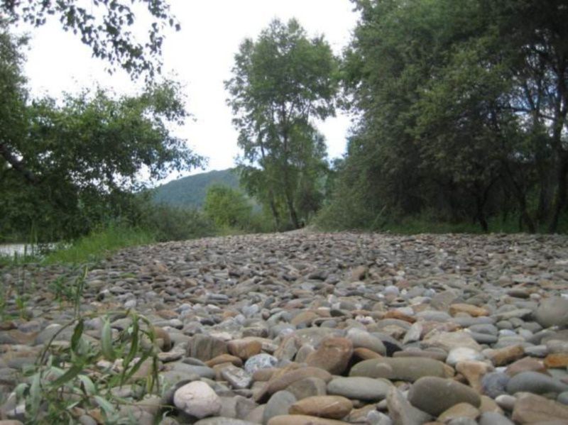 河边石头怎么分辨玉石，河边石头到底是不是玉石？
