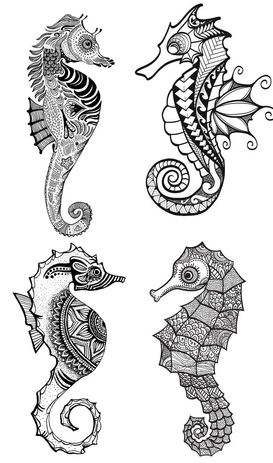 可爱的小海马可爱的小海马图片