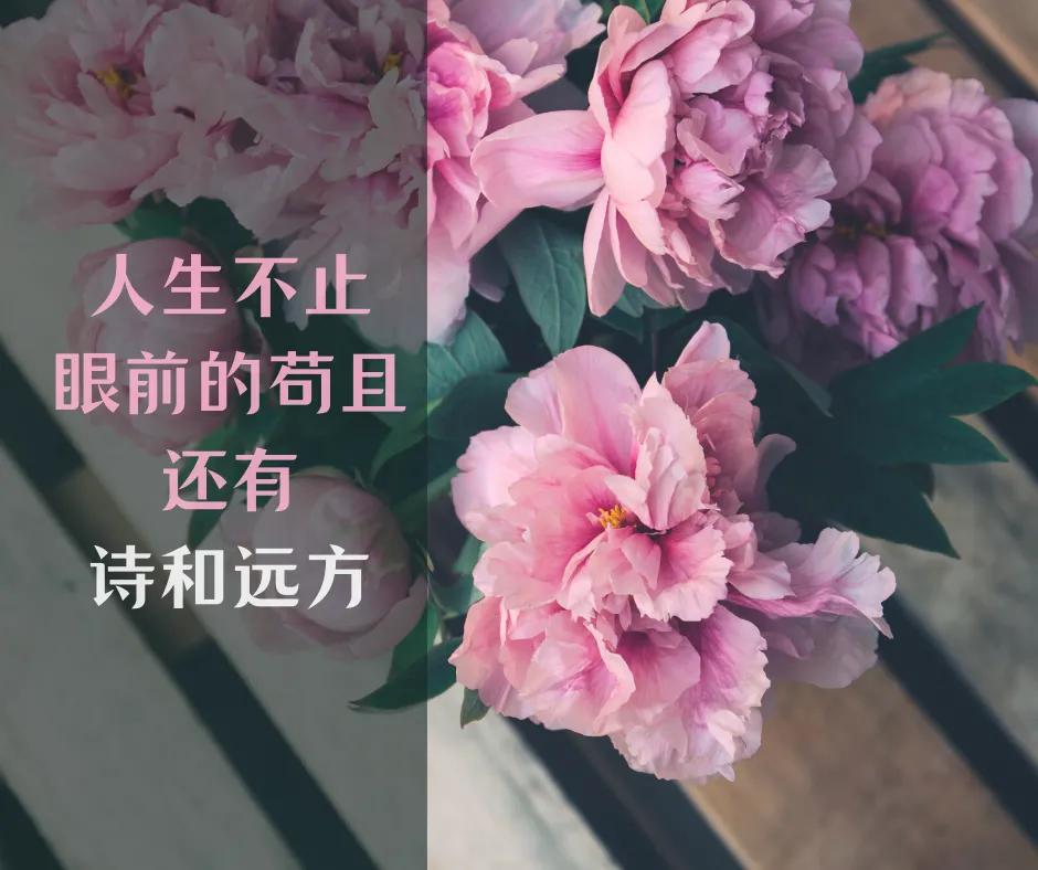 励志的句子致自己简短 一切靠自己的霸气句子图片