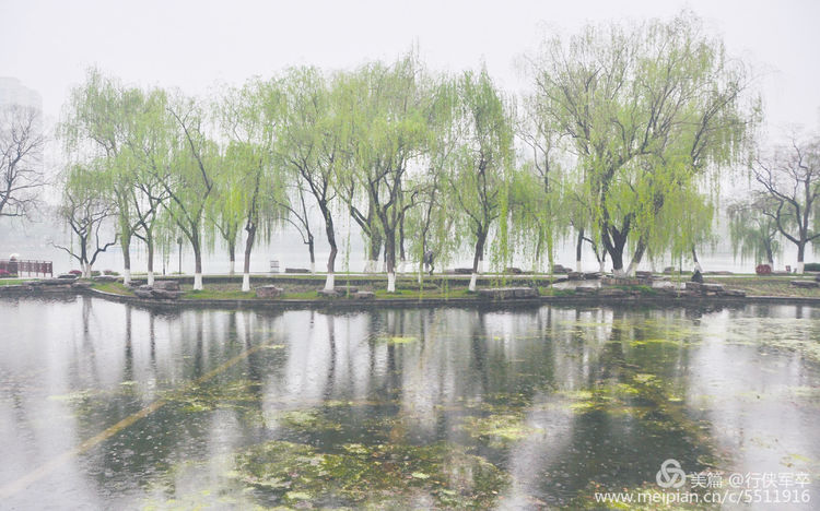 莫愁湖——粉黛江山，留得半湖烟雨；王侯事业，都如一局棋枰