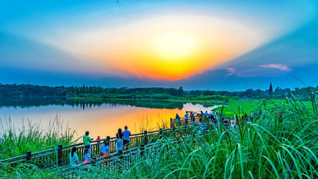 「鲁家滩」水清岸绿，风景如画