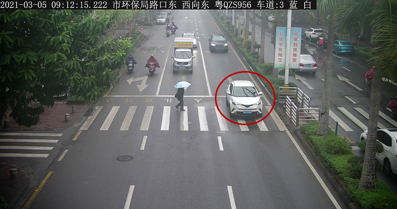 交通违法曝光！