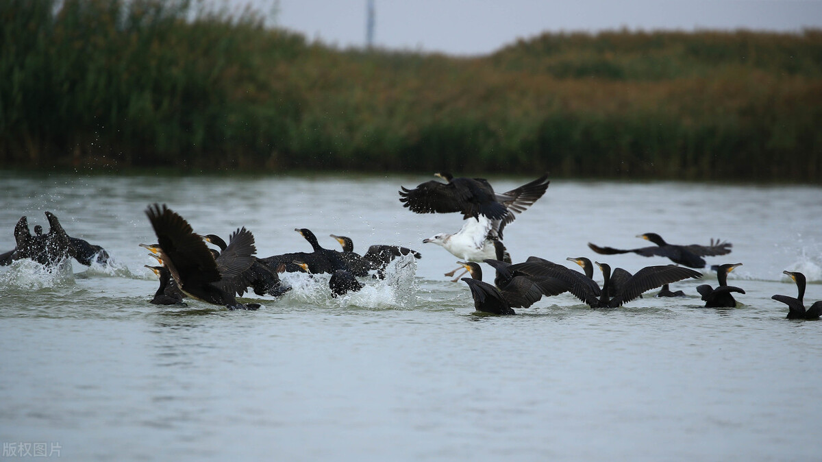 2021年艺考生你能上本科吗？八省最新发布的艺术类最低录取控制线