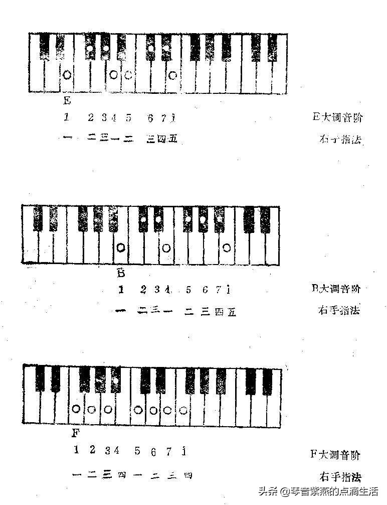 88键电子琴键位图图片