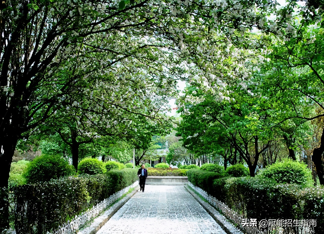 四川成都公办的单招卫校有哪些-2021年卫校的就业情况怎么样