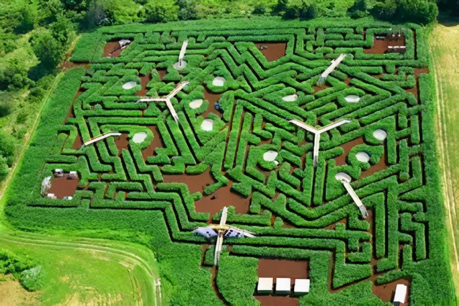 盘点世界上历史最悠久,很有创意的10个迷宫