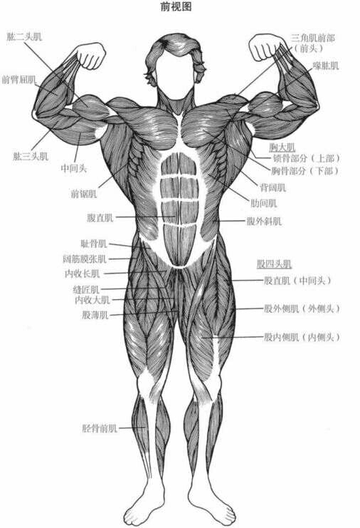 施瓦辛格健身全书11 施瓦辛格帮你制定基础训练计划