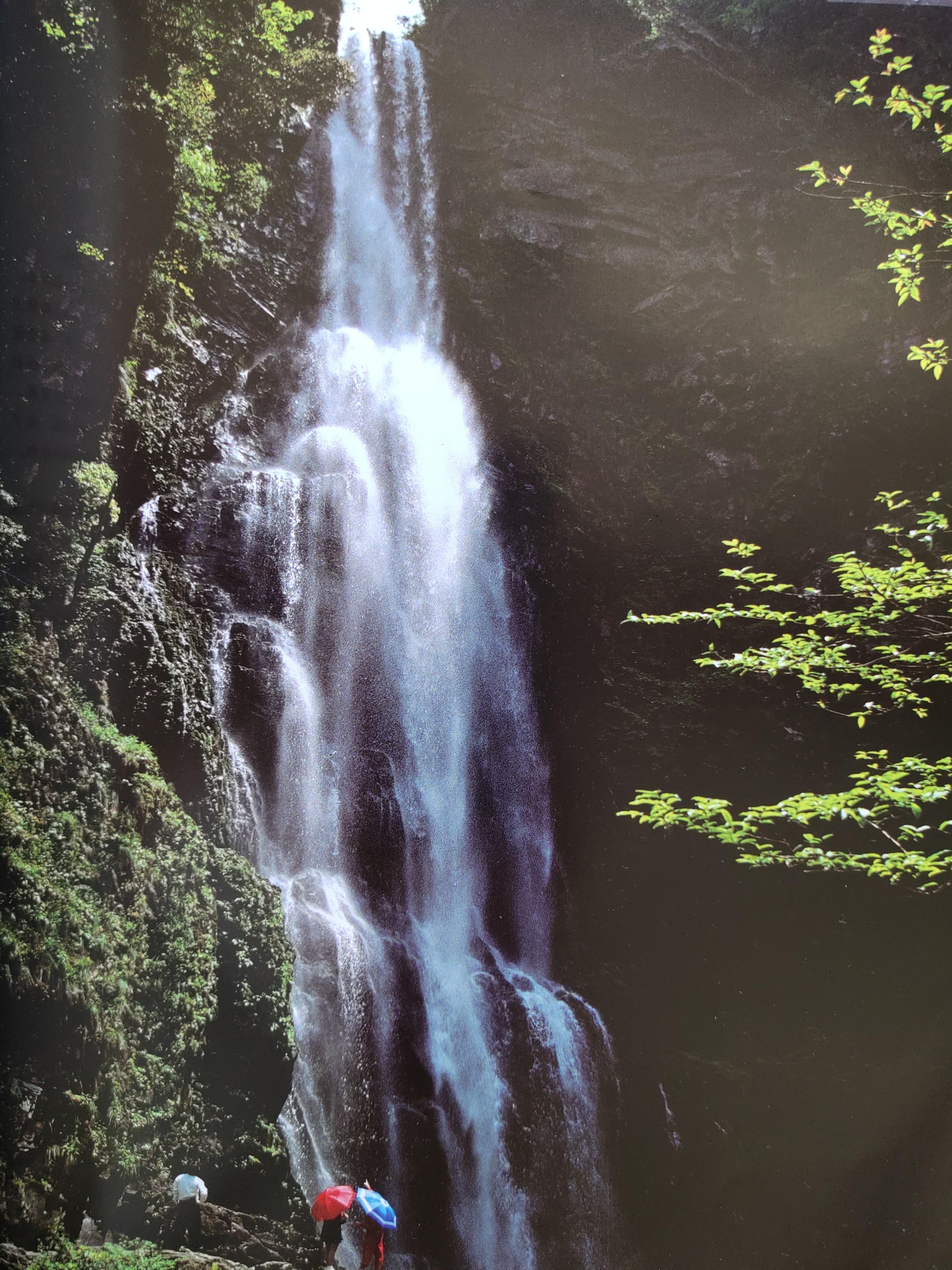 胡刚毅诗歌评论二篇