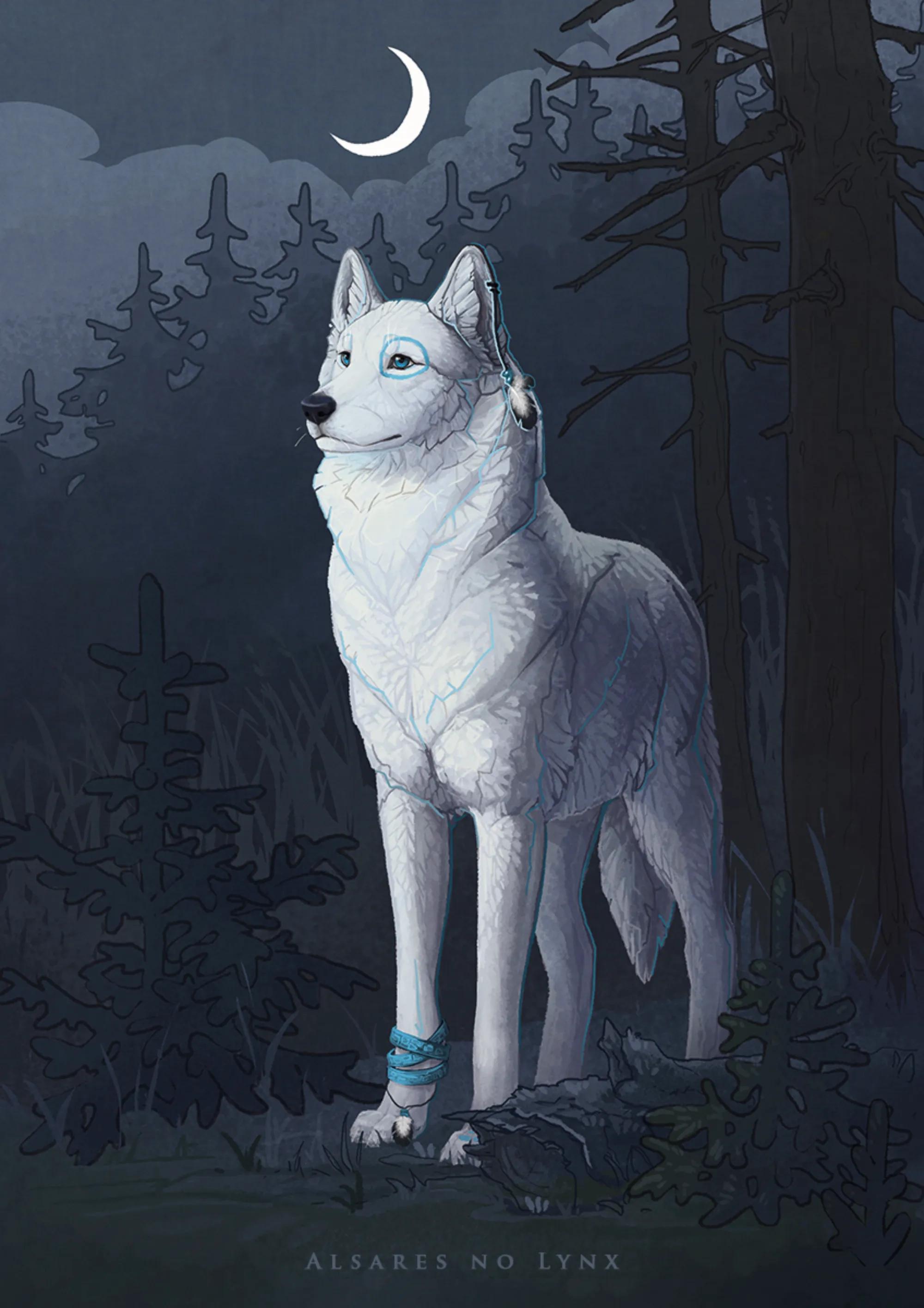 4k壁纸|狼,经过无数次残酷争斗,在狼的世界,只相信强者