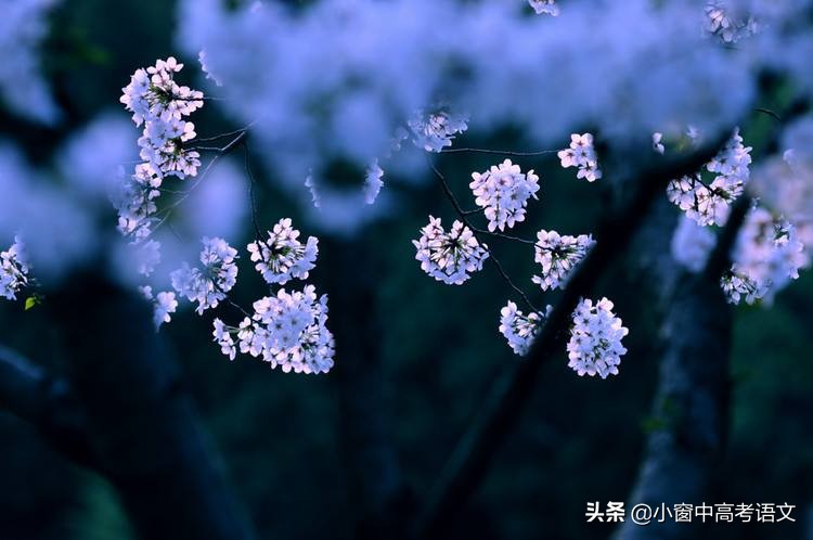 「干货分享」《师说》理解性默写精选10句，助力期末