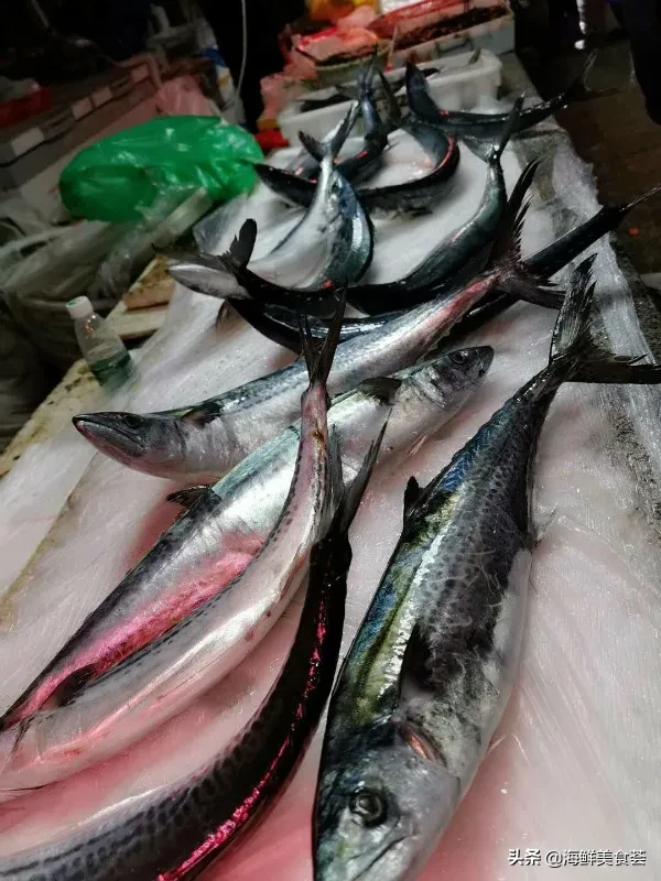 宁波人最爱的时令海鱼，透骨新鲜，价格相对实惠，但有所上涨
