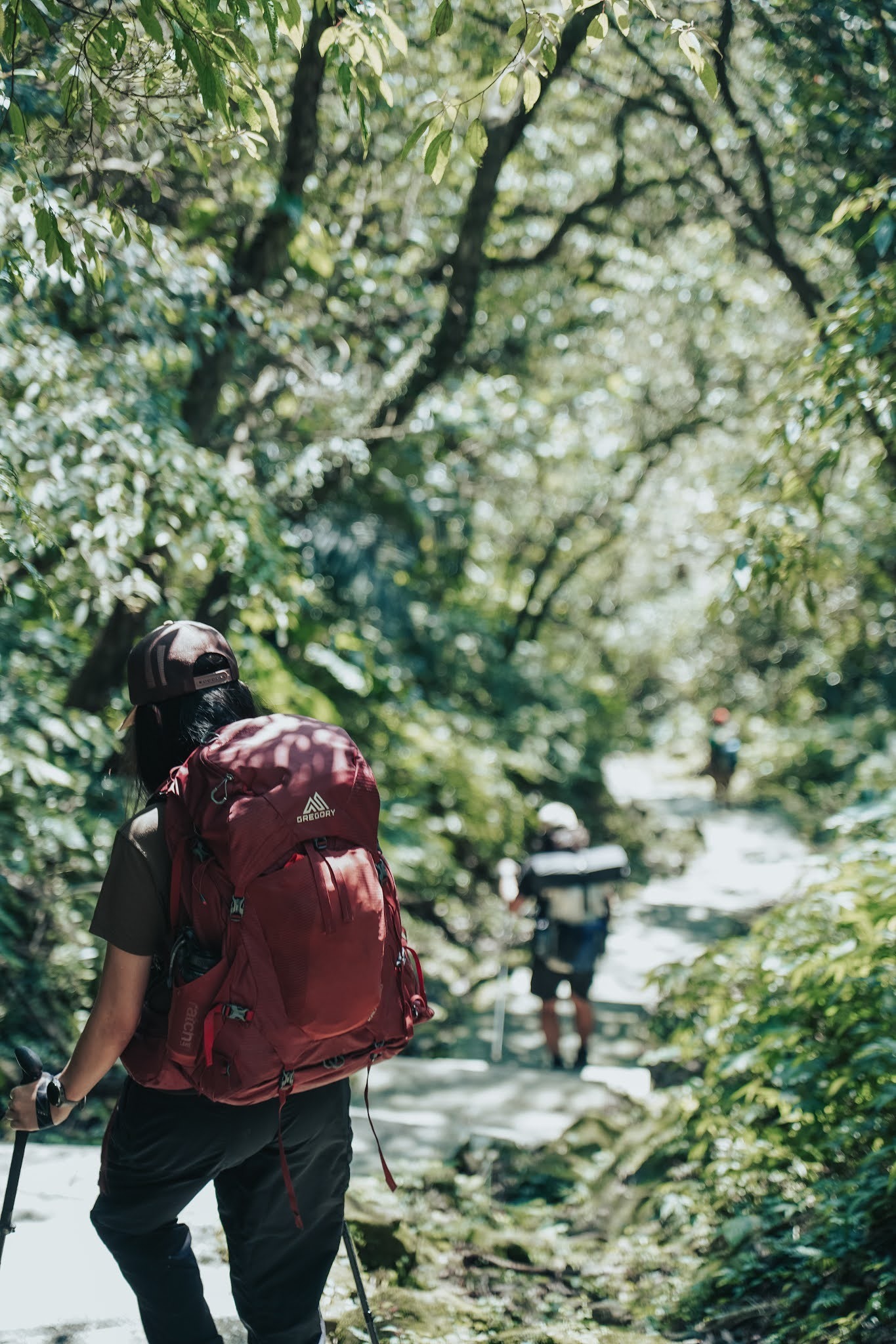 适合登山的大牌背包品牌，Gregory格里高利新款背包实测体验