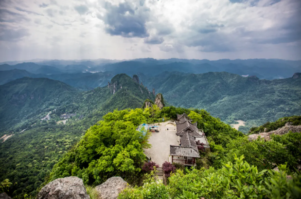 巨峰葡萄的產地,巨峰葡萄的產地在哪里